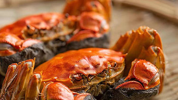怎样挑选一匹鲜活味美的大闸蟹