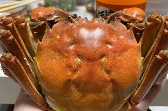 湖鲜阳澄蟹类