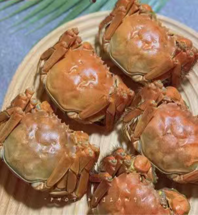 神行海鲜水产