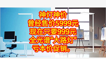 神灯神价，曾经售价5999元，现在只要999元，亏本促销，全光谱“大路灯”亏本价促销。