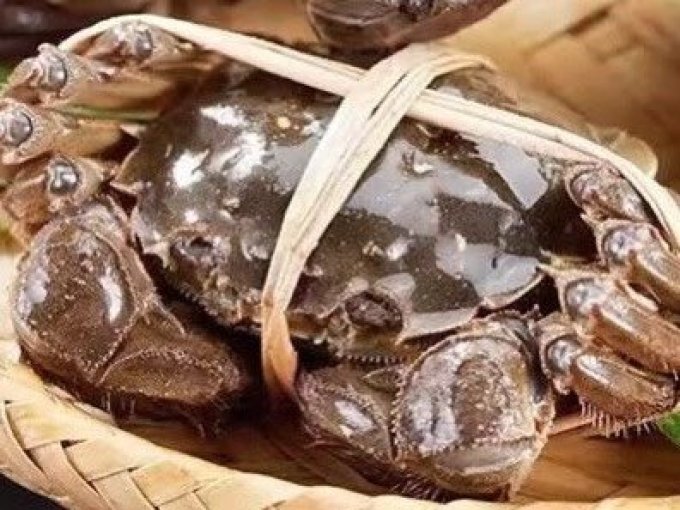 湖鲜阳澄蟹类