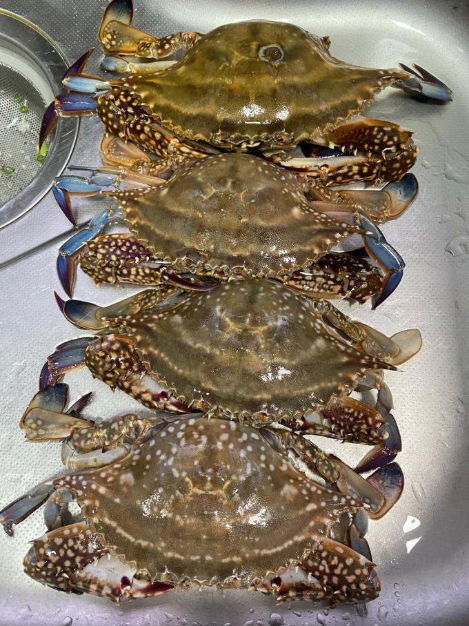 海鲜水产