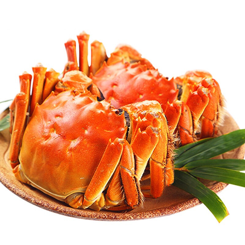 大闸蟹是中国特色美食之一