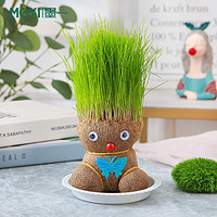 墨一长草娃娃植物小盆栽绿植桌面摆件幼儿园儿童礼品塑料托单个款