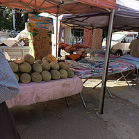 集市上的哈密瓜只要10元四斤超甜超好吃