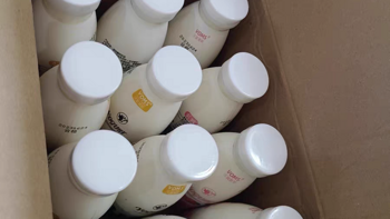 东致酸奶：优质乳酸菌饮品，批发价更给力