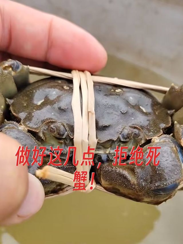 拒绝死蟹,这几点一定要掌握!!