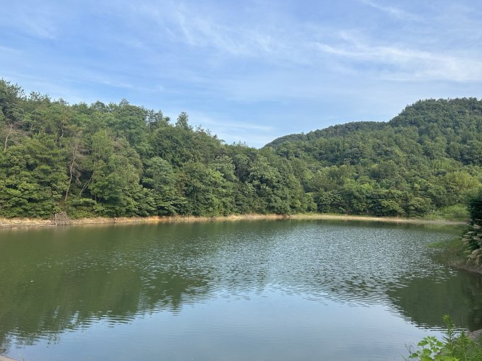 匹克泳裤
