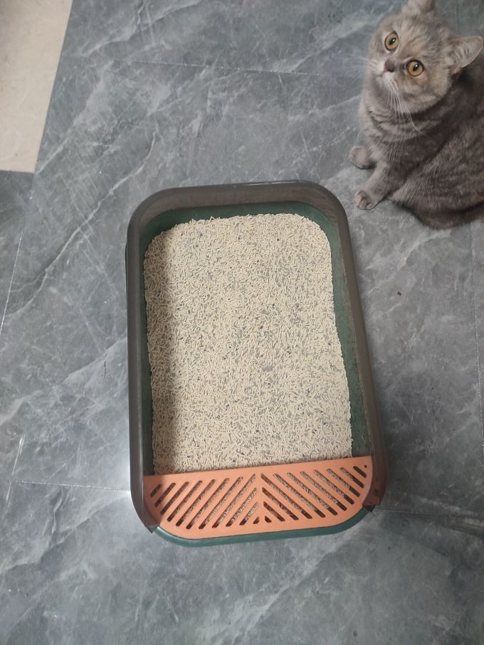 盒边猫砂