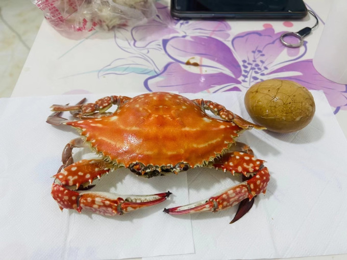 阳澄秋色蟹类