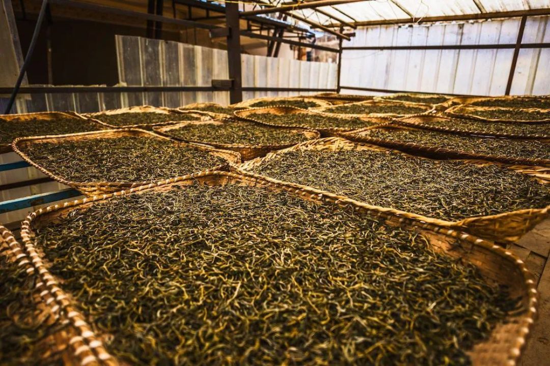 这份"黑"算是黑茶特质的体现和保证,形成的原因与独有的制茶工艺息息