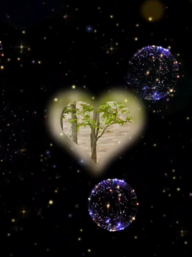 每年夏天都要美美的。