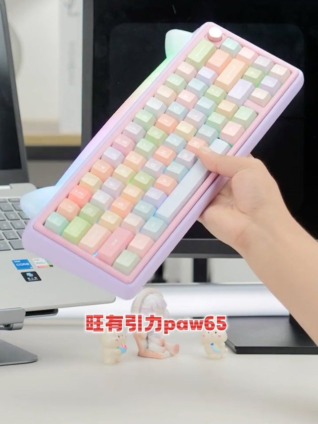 真的不想和我一起玩键盘吗？