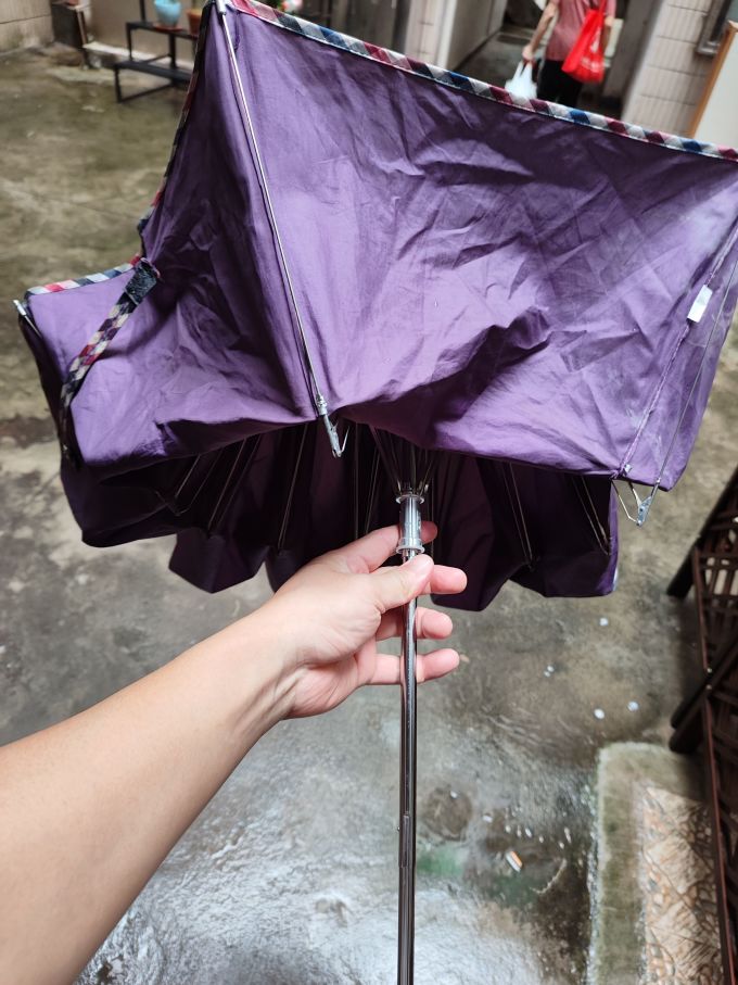 天堂伞雨伞