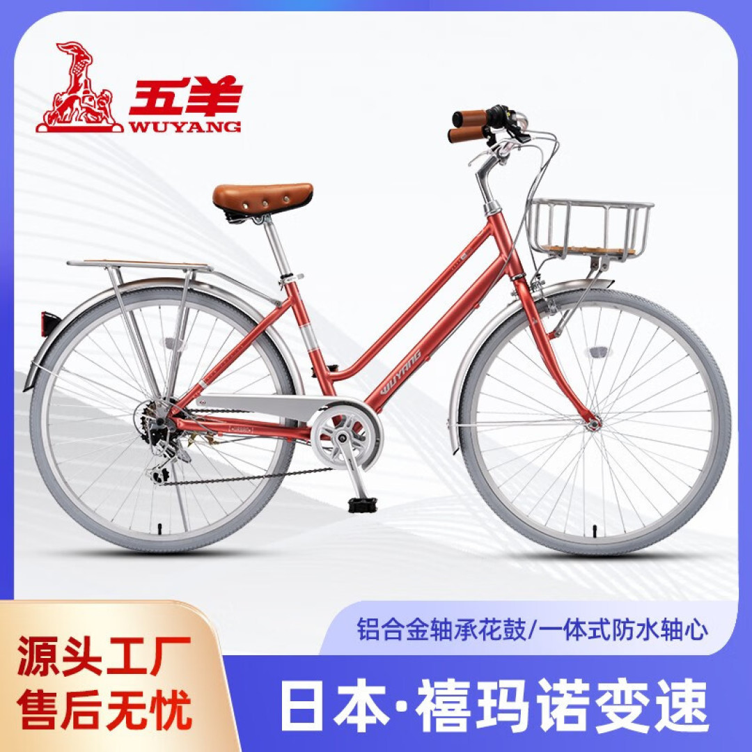 我的学生回忆之骑单车上学