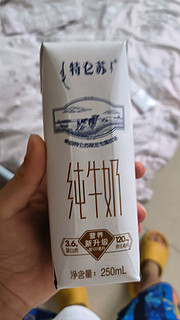 特仑苏纯牛奶