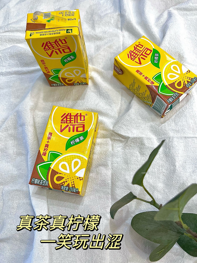 维他茶类饮料