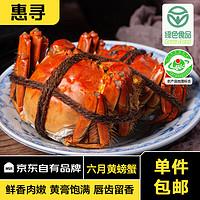 惠寻京东自有品牌大闸蟹六月黄2.3-2.6两8只鲜活螃蟹生鲜水产去绳足重