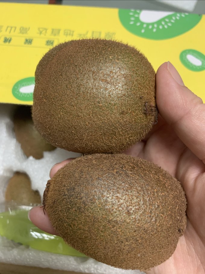 新鲜水果