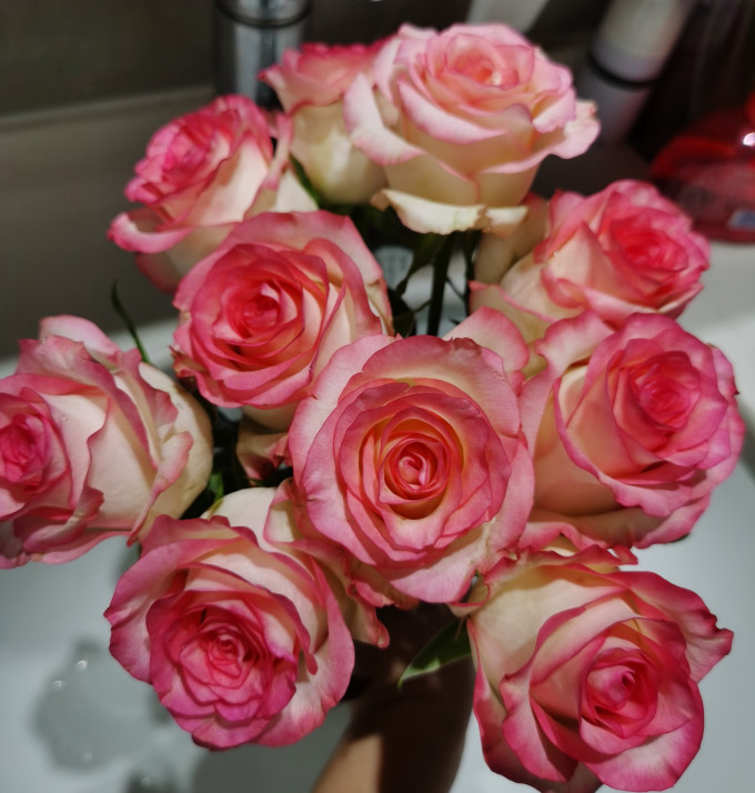 京东鲜花鲜花