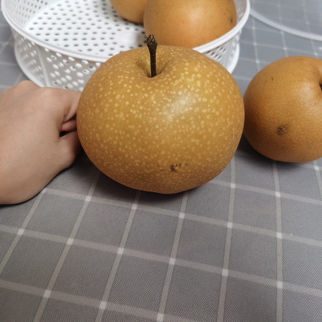 比拳头还要大的沙梨？