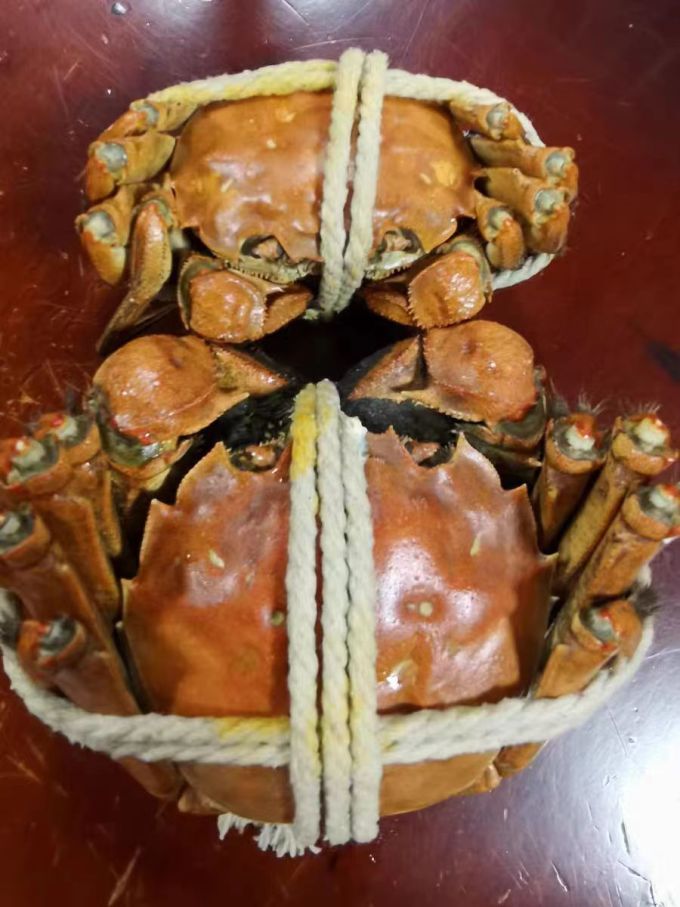 横中蟹王海鲜水产