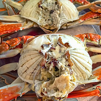 据说是山东最好的螃蟹-莱州湾梭子蟹