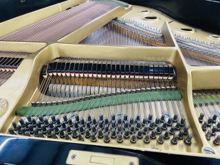 好听的 yamaha G2，让你沉醉在音乐世界中