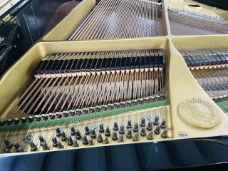 好听的 yamaha G2，让你沉醉在音乐世界中