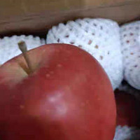 秋季预防常见病攻略之多吃苹果