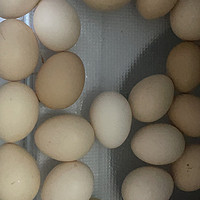 京东京造的鸡蛋！