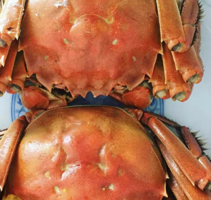 海鲜水产