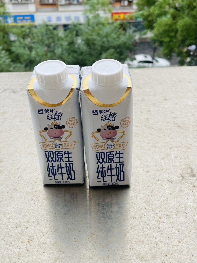 蒙牛奶类制品