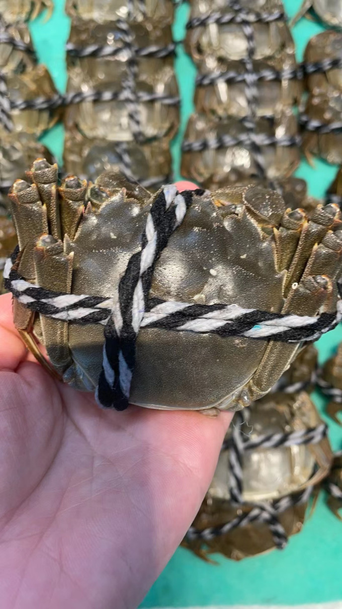 阳澄湖蟹类