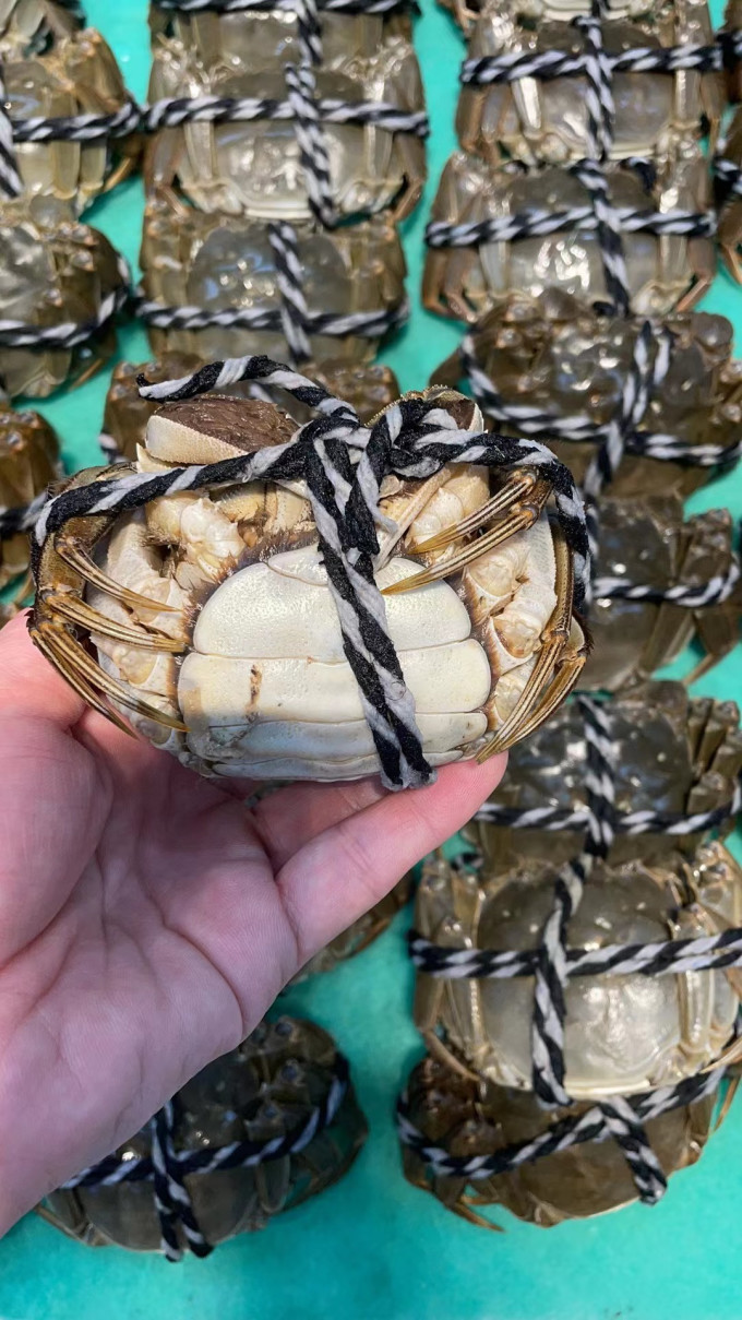 阳澄湖蟹类