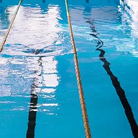运动之游泳中的自由泳和仰泳