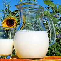 食品饮料 篇四十七：宝藏乳品：纯牛奶与酸牛奶的奇妙世界