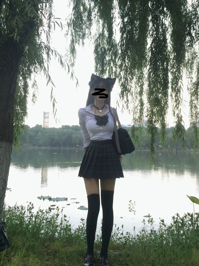 点头yes 摇头no 看到小猫say hello