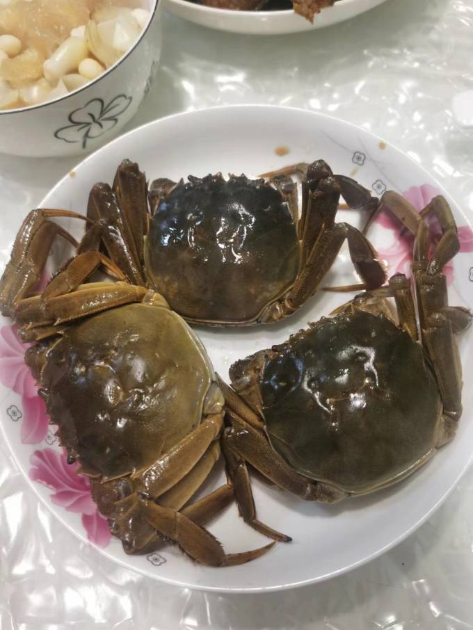 今锦上蟹类