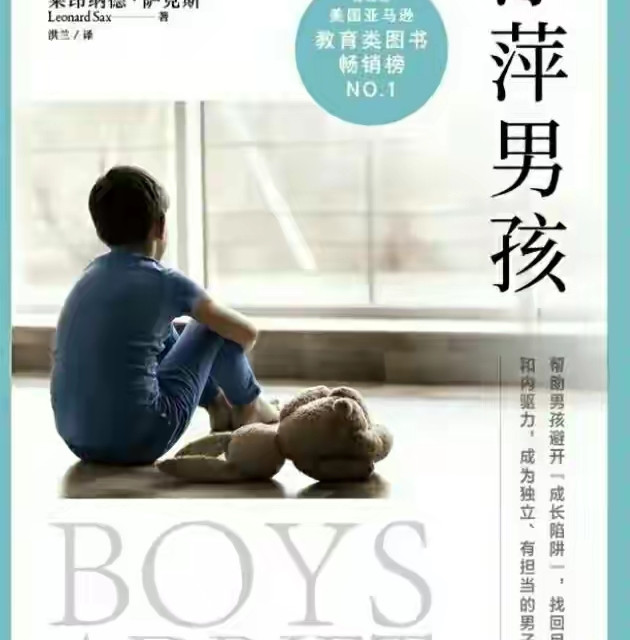 《浮萍男孩》：帮助男孩成长的避坑指南