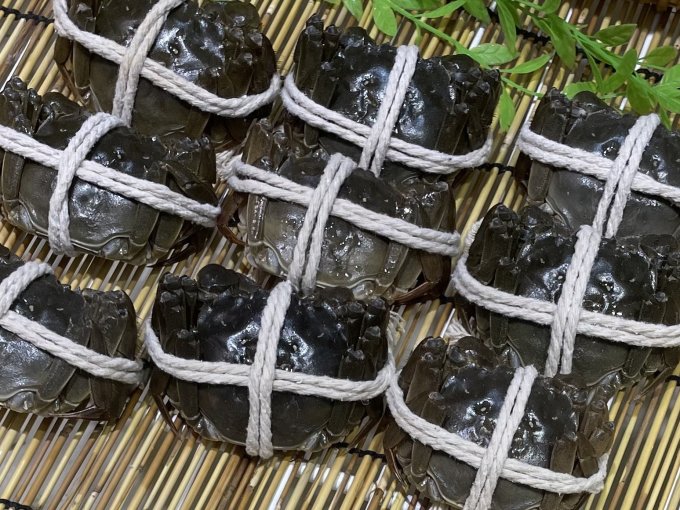 阳澄联合蟹类