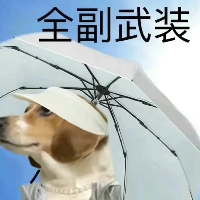 哪些防晒霜肤感润润的,适合在干燥的秋天使用?