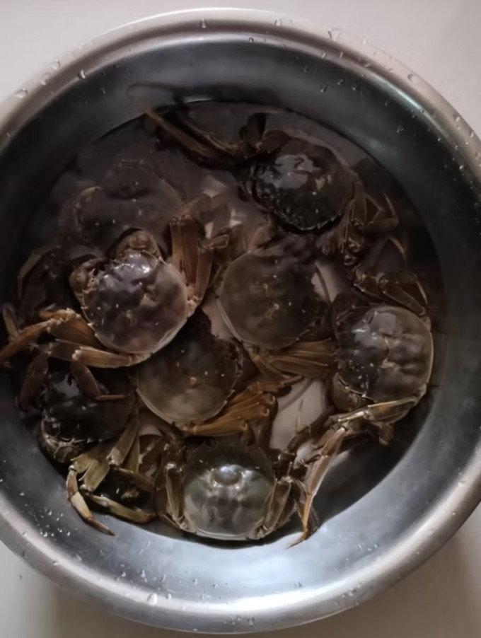 乾澄蟹类