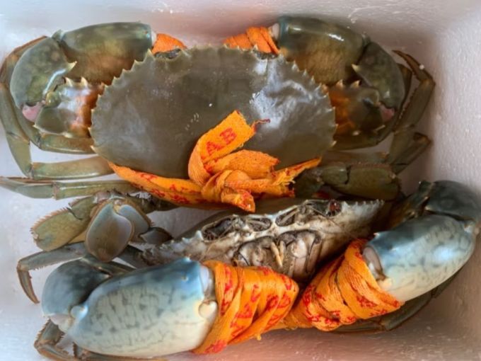 江食代蟹类
