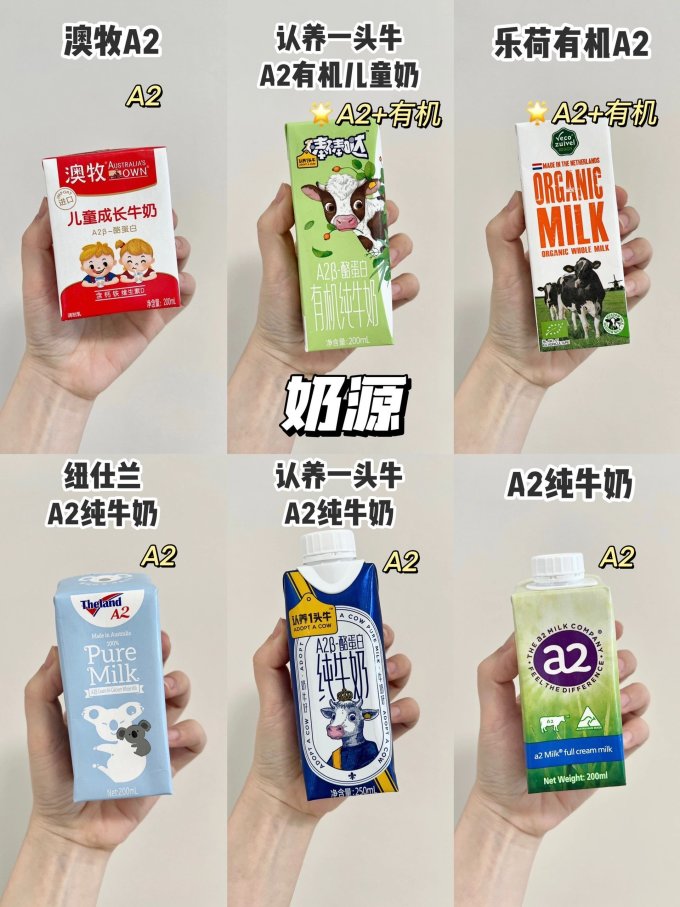 奶类制品