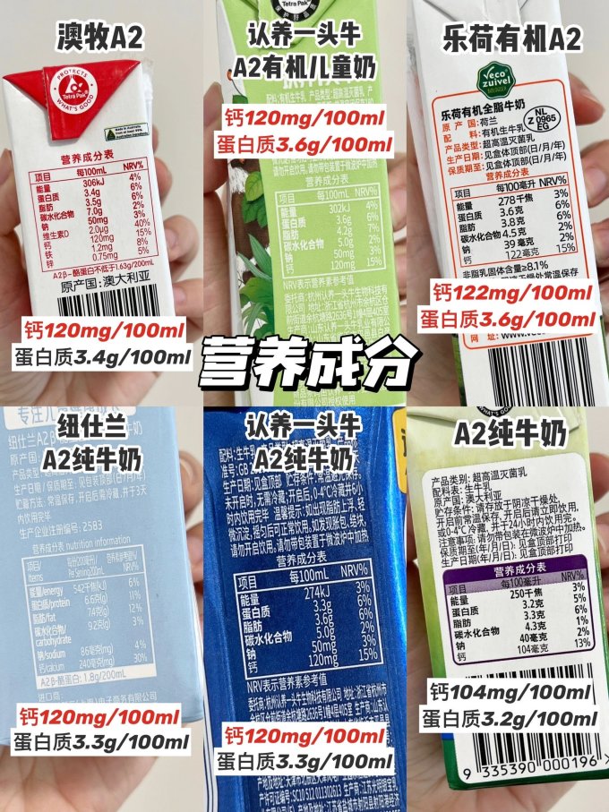 奶类制品