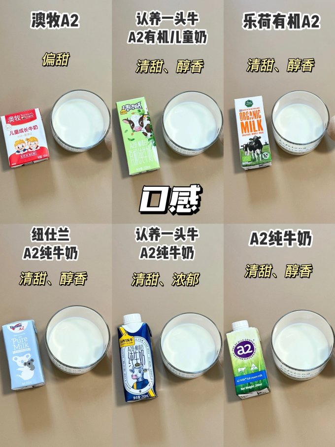 奶类制品