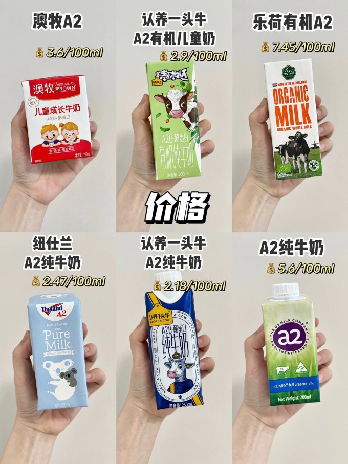 奶类制品