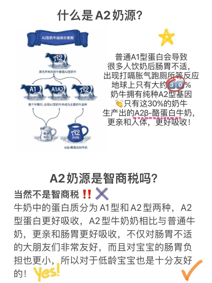 奶类制品