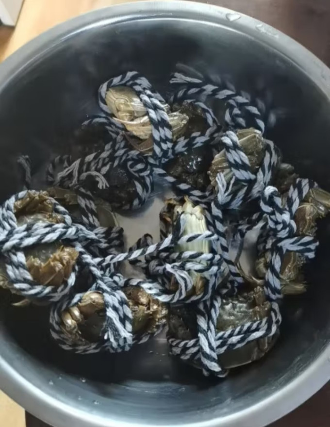 阳澄秋色蟹类